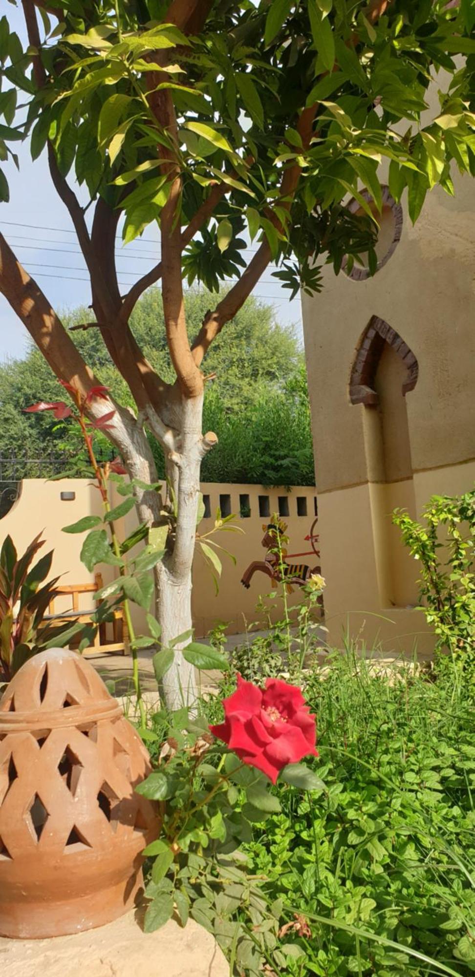 Luxor Villa Hatshepsut Exterior foto